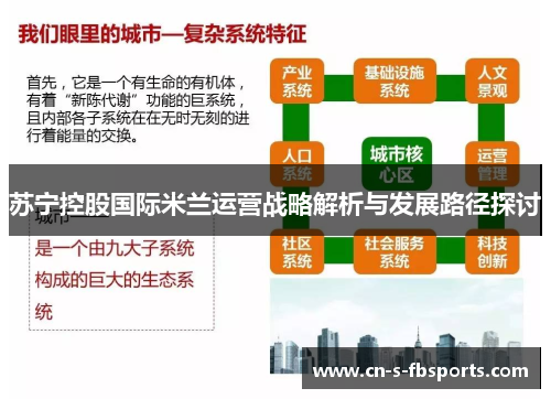 苏宁控股国际米兰运营战略解析与发展路径探讨 苏宁控股国际米兰运营战略解析与发展路径探讨
