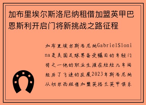 加布里埃尔斯洛尼纳租借加盟英甲巴恩斯利开启门将新挑战之路征程