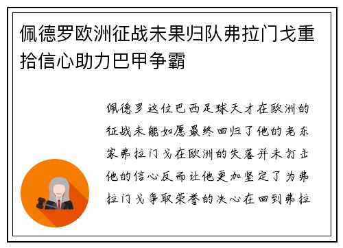 佩德罗欧洲征战未果归队弗拉门戈重拾信心助力巴甲争霸